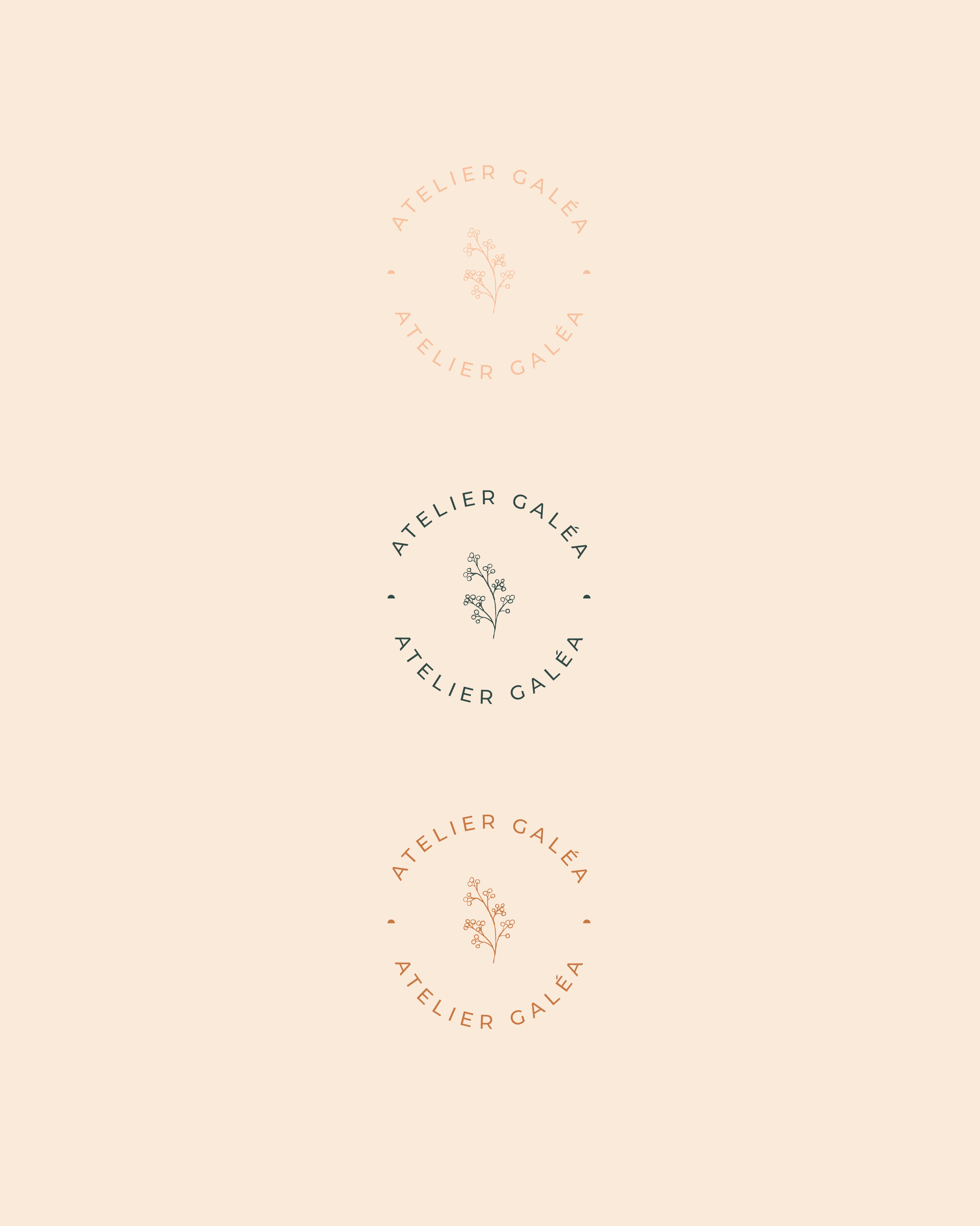 Graphiste Angers Maine et Loire, logo, identité visuelle